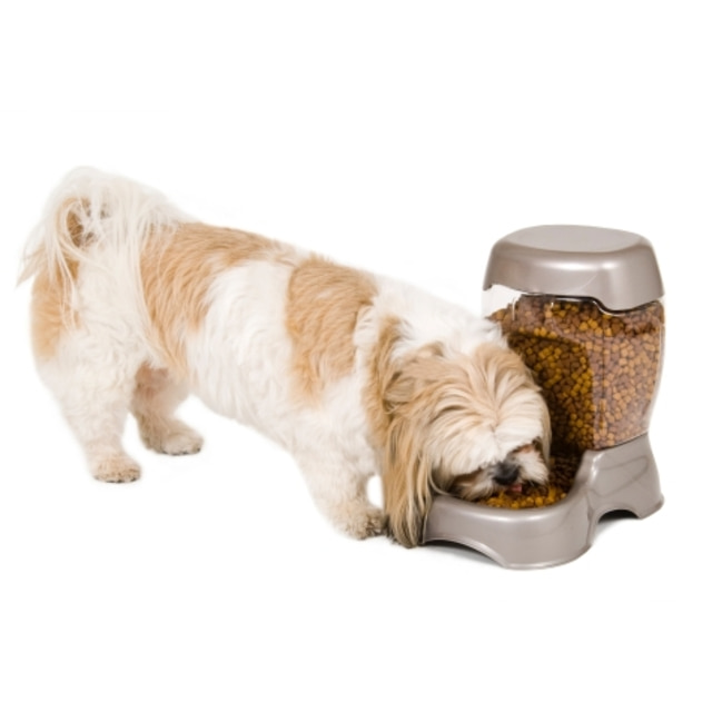 펫메이트 카페 급식기 3LB (약 1.36kg)-강아지용품-애견용품-멍뭉이마트